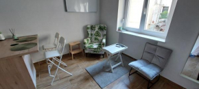 Studio apartment in center of Zagreb 